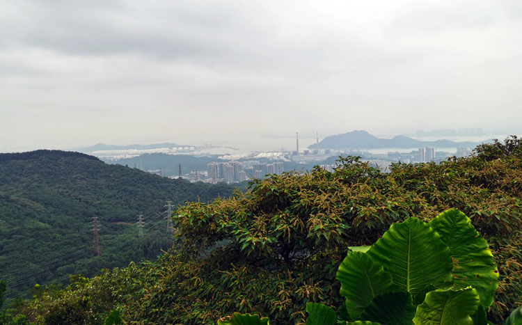 激揚青春、奮勇攀登登山活動